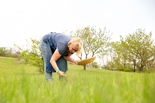 Kräuterworkshops im Sommer